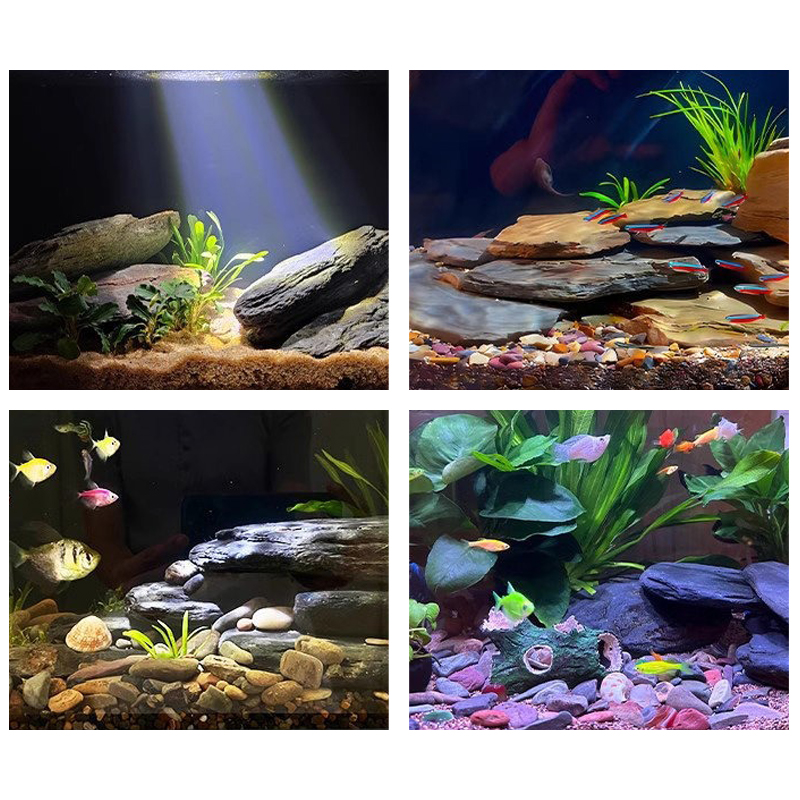 500/1000g Fish Tank Landscape  - Marine Fish Tank recension och pris