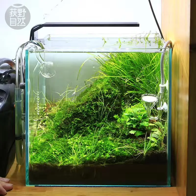 Chihiros C Series ADA Style Pl - Aquarium Marine Lights recension och pris