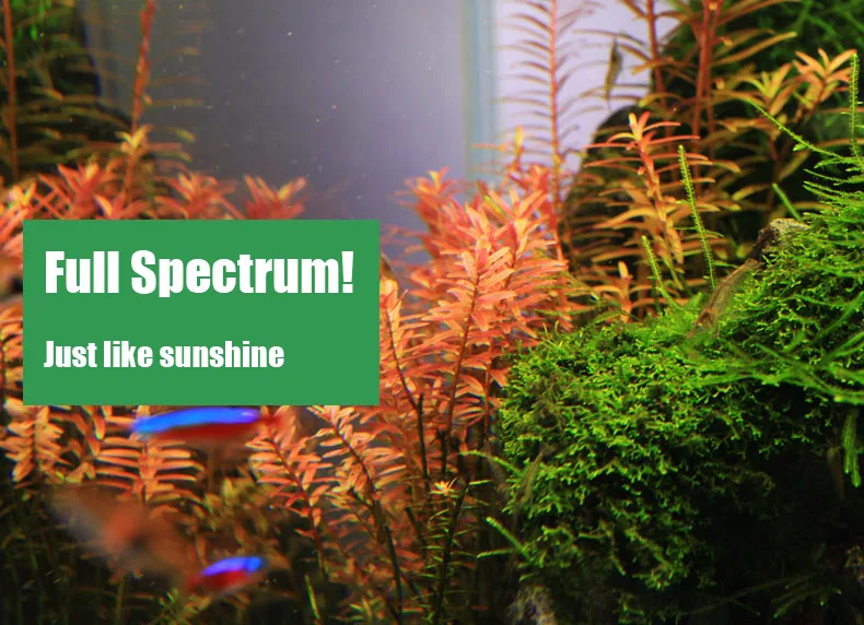 Chihiros C Series ADA Style Pl - Aquarium Marine Lights recension och pris