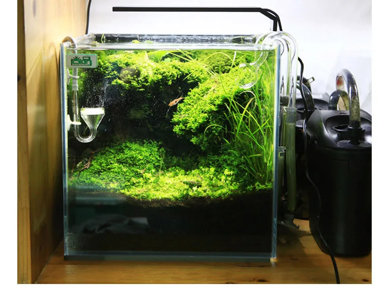 Chihiros C Series ADA Style Pl - Aquarium Marine Lights recension och pris