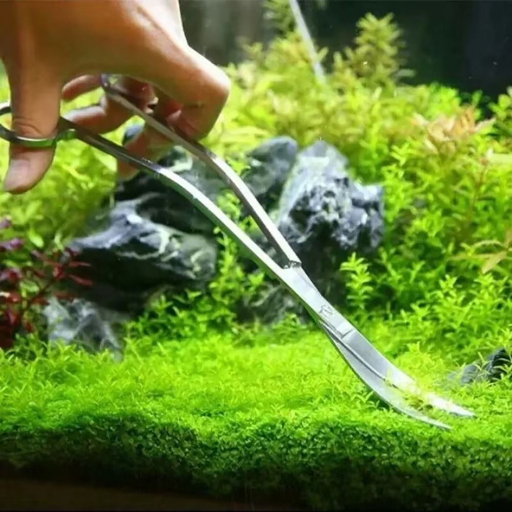 1Pcs Stainless Steel Aquarium  - Marine Aquarium recension och pris